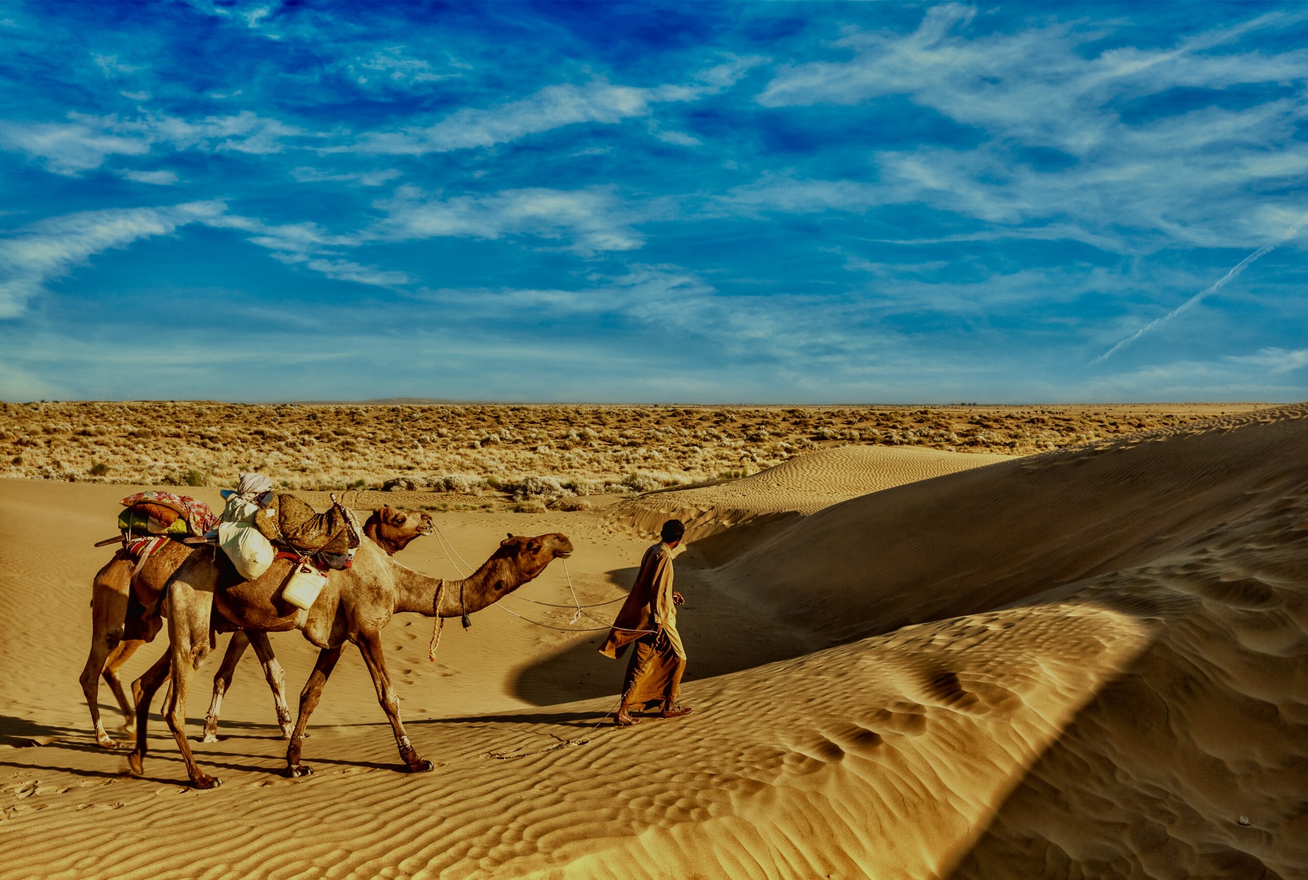Rajasthan travel background - India cameleer (camel driver) with camels in dunes of Thar desert. Jaisalmer, Rajasthan, India